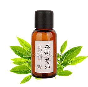 茶樹(shù)精油 30ml改善肌膚 控油祛痘招商代理批發(fā)