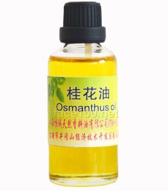 供應桂花精油 天然植物精油 單方精油 化妝品原料批發